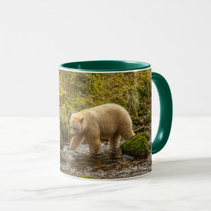 Caneca Urso Espírito Branco caça peixes no Riordan Creek
