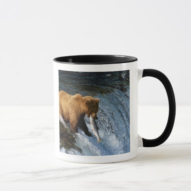 Caneca Urso Marrom do Alasca captando salmão em Brooks (Direita)