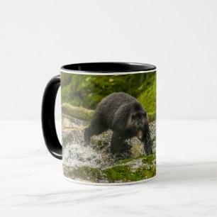 Caneca Urso Negro Pescando Qua Creek Colúmbia Britânica