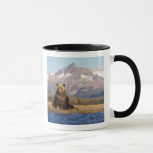Caneca urso pardo, Ursus arctos, urso cinzento, Ursus