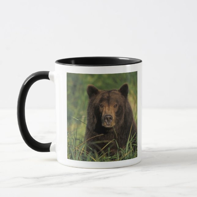 Caneca urso pardo, Ursus arctos, urso cinzento, Ursus 9 (Esquerda)