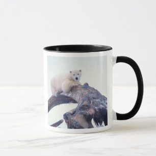 Caneca Urso polar em cima de um osso da mandíbula de uma 