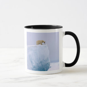 Caneca urso polar, Ursus maritimus