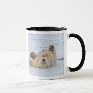 Caneca urso polar, Ursus maritimus, filhote rolando