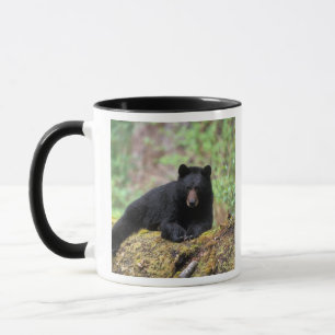 Caneca Urso preto em um tronco de crescimento antigo na