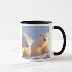 Caneca Ursoaica com filhote no gelo marinho