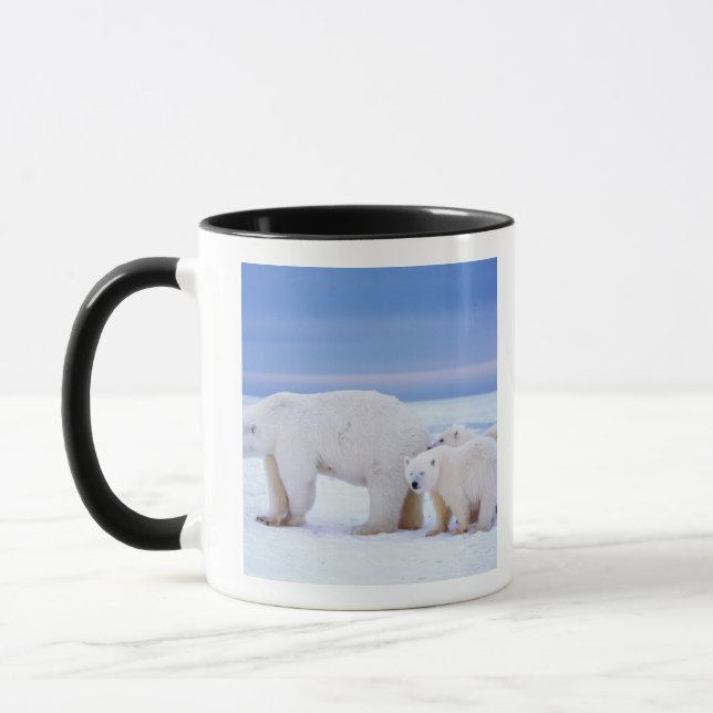 Caneca Ursoaica polar cu pui (Esquerda)