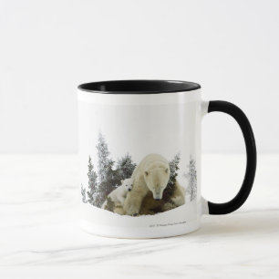 Caneca Ursos polares no parque nacional de Wapusk
