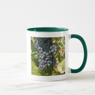 Caneca Uruguai, Montevidéu, Área Colon. Bodegas