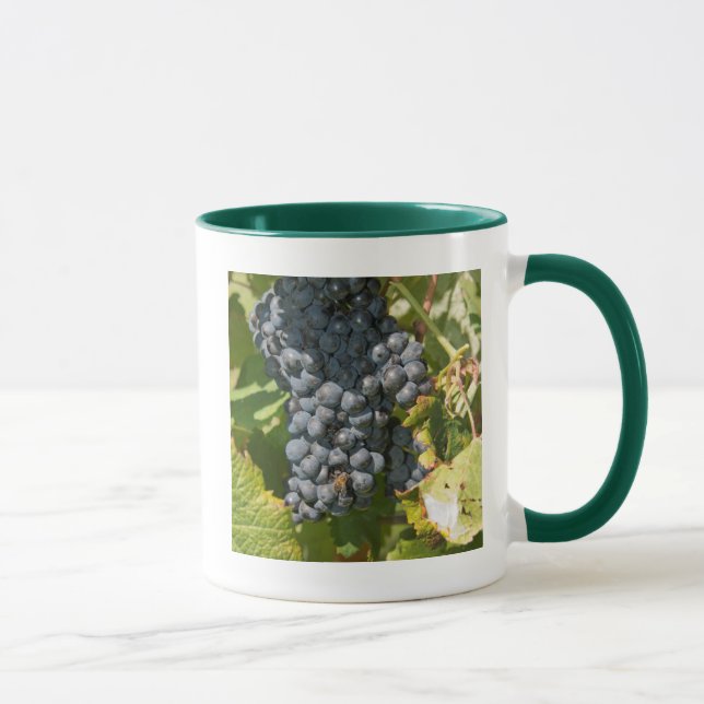 Caneca Uruguai, Montevidéu, Área Colon. Bodegas (Direita)