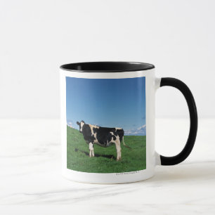 Caneca Vaca de Holstein que está no campo, Bekkai-Machi,