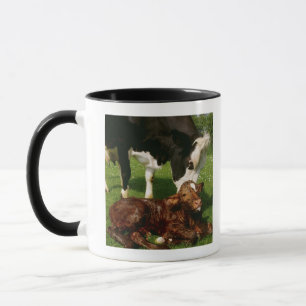 Caneca Vaca e vitela recém-nascida