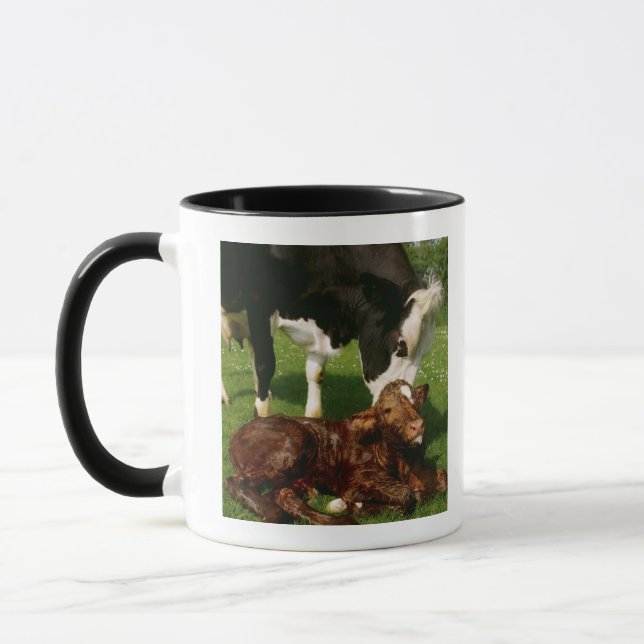 Caneca Vaca e vitela recém-nascida (Esquerda)