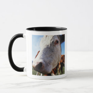 Caneca Vaca no campo, fim-acima