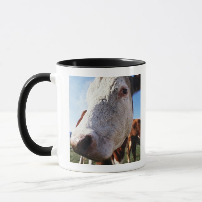 Caneca Vaca no campo, fim-acima (Esquerda)