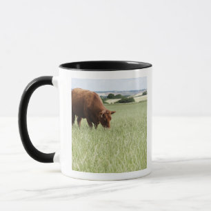 Caneca Vaca que pasta no prado