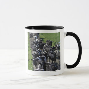 Caneca Vacas de leiteria que esperam a ordenha