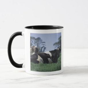 Caneca vacas em um pasto