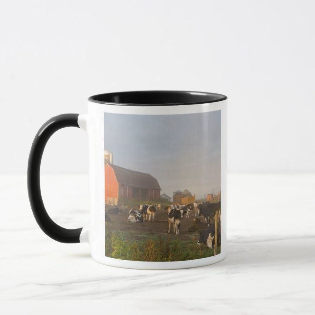 Caneca vacas leiteiras de Holstein fora de um celeiro ao  (Esquerda)
