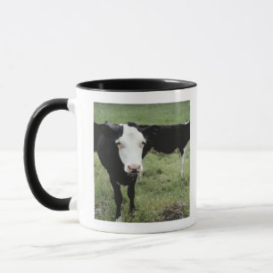 Caneca Vacas que pastam no prado, Nova Escócia, Canadá