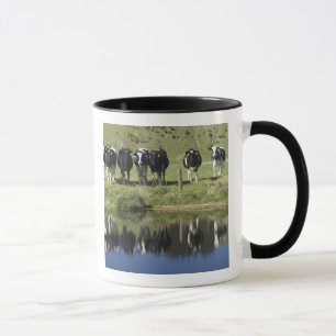 Caneca Vacas refletidas no canal, Henley, Taieri Plain,