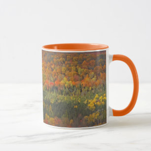 CANECA VÁLVULA "LANDSCAPE AUTUMN" DE ÁRVORES TORNADAS DOU