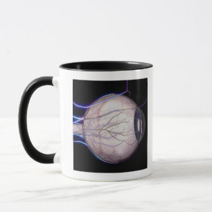 Caneca Vasos sanguíneos do olho