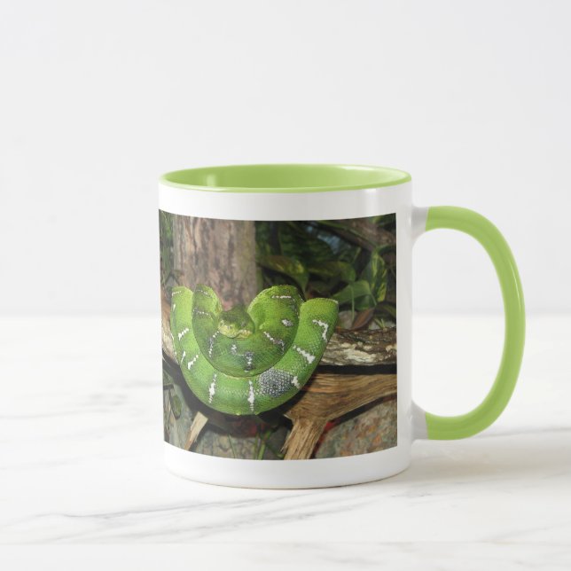 Caneca verde da campainha do cobra da boa (Direita)