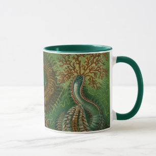 Caneca Vermes antigos Annelids Chaetopoda por Ernst Haeck