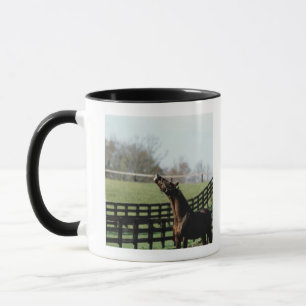 Caneca Vermont, EUA 2