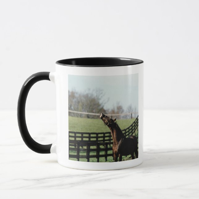Caneca Vermont, EUA 2 (Esquerda)