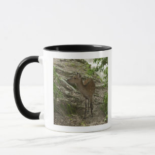 Caneca Vestido