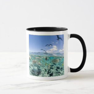 Caneca Viagem de safári pela lagoa com arraias