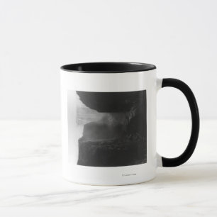 Caneca Victoria Falls em Rhodesia FotografiaRodésia