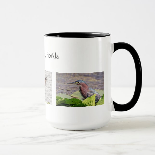 Caneca Vida Selvagem do Condado de Pinella na Flórida (Direita)