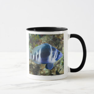 Caneca Vida subaquática, PEIXE: Índigo Hamlet