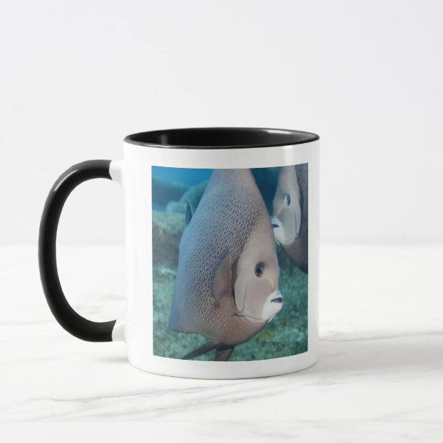 Caneca Vida subaquática, PEIXE:  um par de Angelfish (Esquerda)
