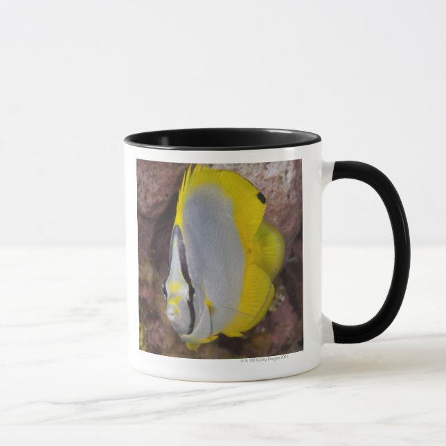 Caneca Vida subaquática, PEIXE:  Um tropical colorido (Direita)