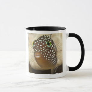 Caneca Vida subaquática; PEIXES: Retrato do Fim-acima d