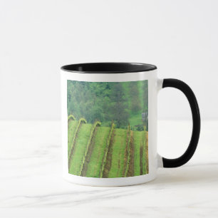 Caneca Vinhas de uva perto de Newberg Oregon