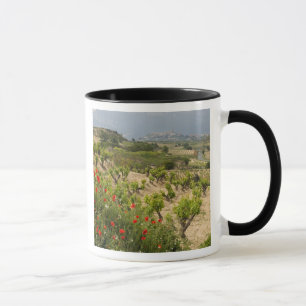 Caneca Vinhas perto de Laguardia, capital de La Rioja