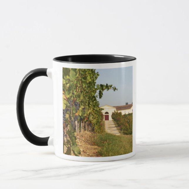 Caneca Vinhas, videiras petit verdot e a adega ao (Esquerda)