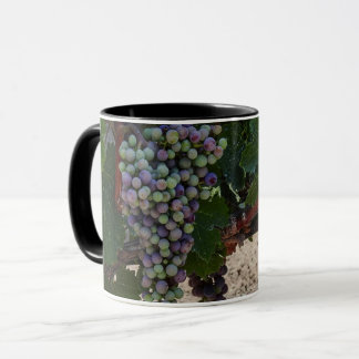 Caneca Vinícola Chilena