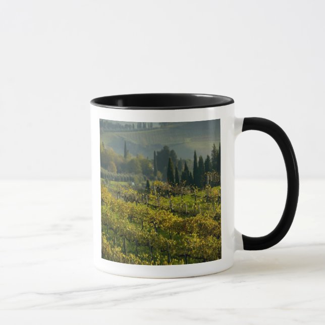 Caneca Vinícola, Toscana, Itália (Direita)