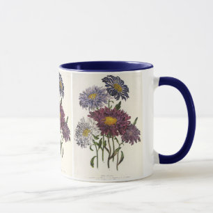 Caneca Vintage Floral, Antigas Flores De Aster Roxo