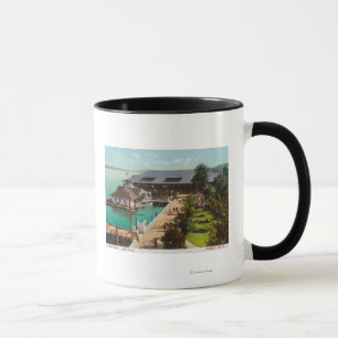 Caneca Vista aérea da casa de barco, lago, parque de