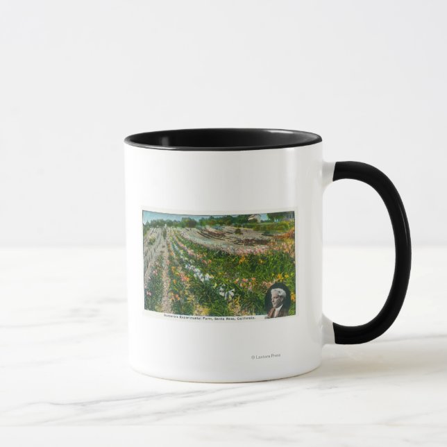 Caneca Vista aérea da Fazenda experimental Burbanks (Direita)