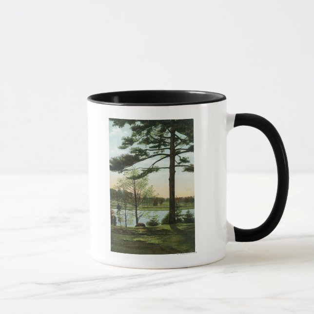 Caneca Vista Cênnica no Reservatório de Colina de Chestnu (Direita)