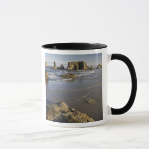 Caneca Vista costeira, Bandon, Oregon