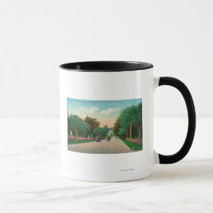 Caneca Vista da Avenida Palm em Sutro Heights